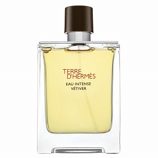 HERMÈS TERRE D'HERMES Eau Intense Vètiver, Apă de parfum