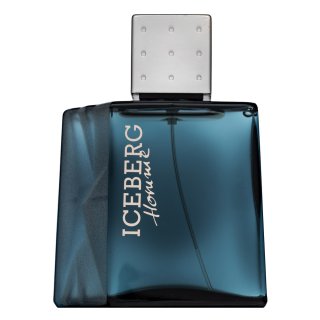 Iceberg Homme Eau de Toilette barbati 100 ml