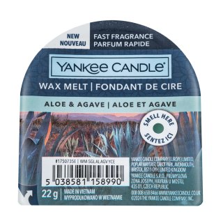 Yankee Candle Aloe & Agave 22 g