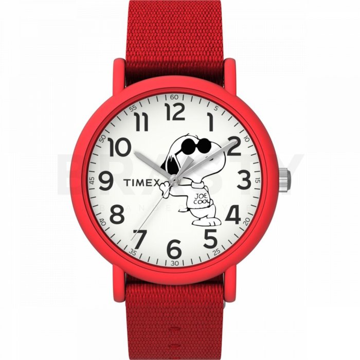 Ceas copii Timex TW2T66000