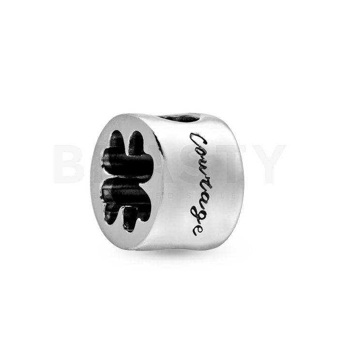 Pandora Talisman 797868