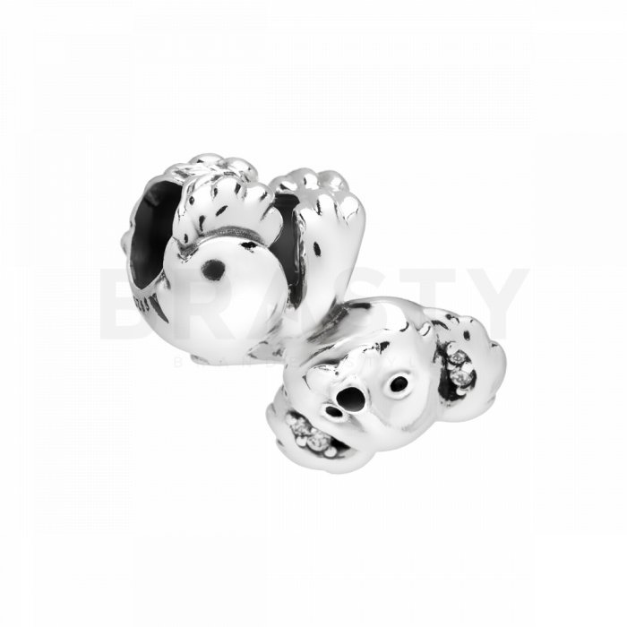 Pandora Talisman 798431C01