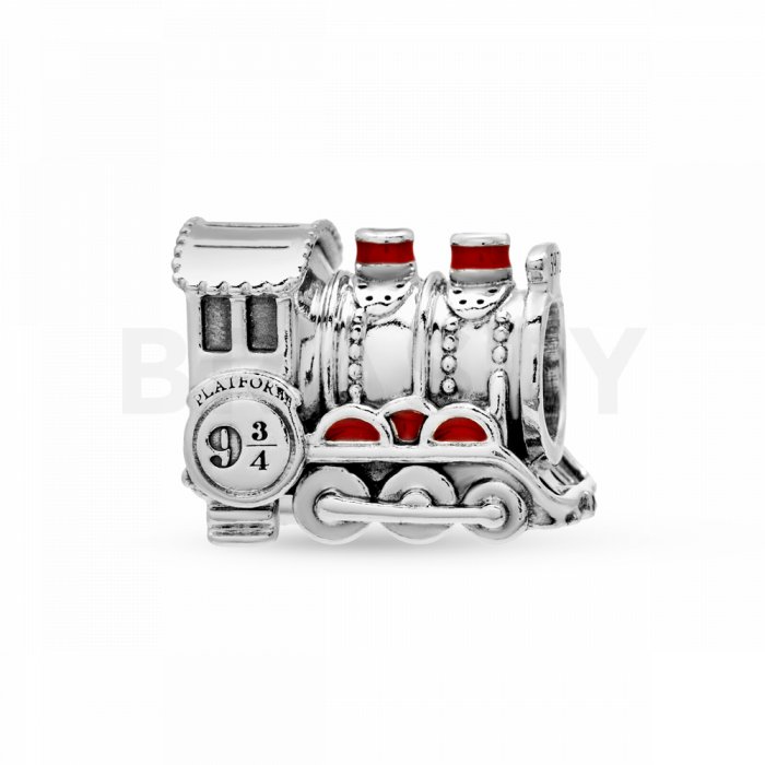 Pandora Talisman 798624C01