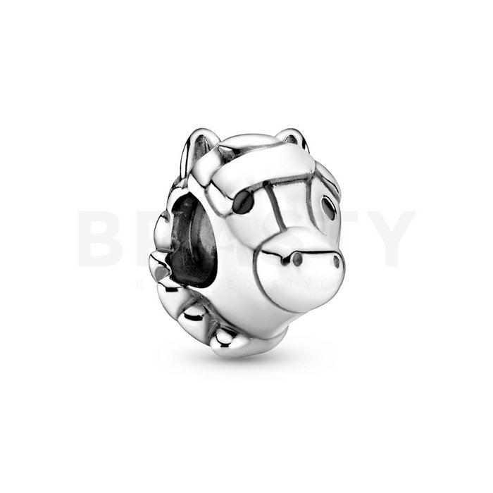 Pandora Talisman 799074C01