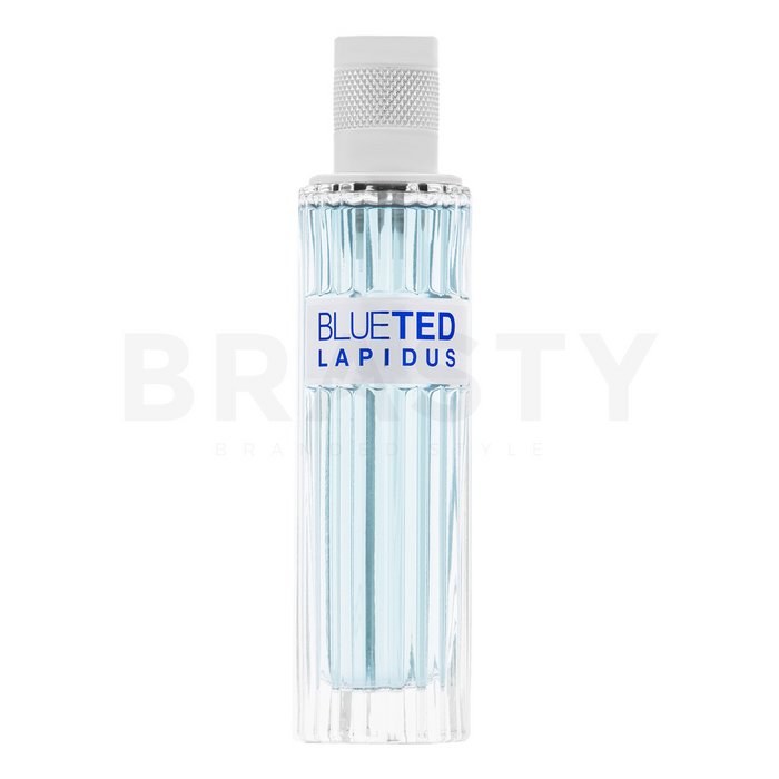 Ted Lapidus Blueted Eau de Toilette bărbați 100 ml